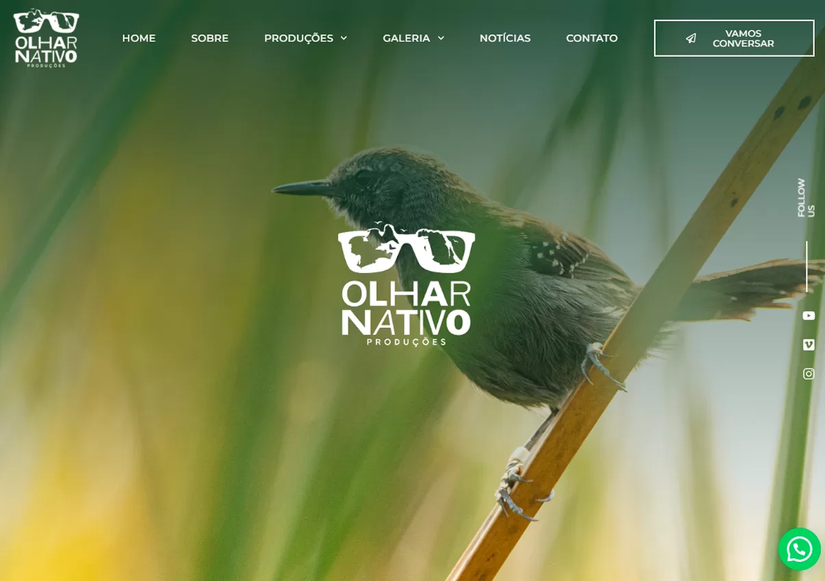 palito-capoeira-desenvolvimento-de-web-sites-logo-marcas-design-grafico-social-midia-portfolio-01-olhar-nativo